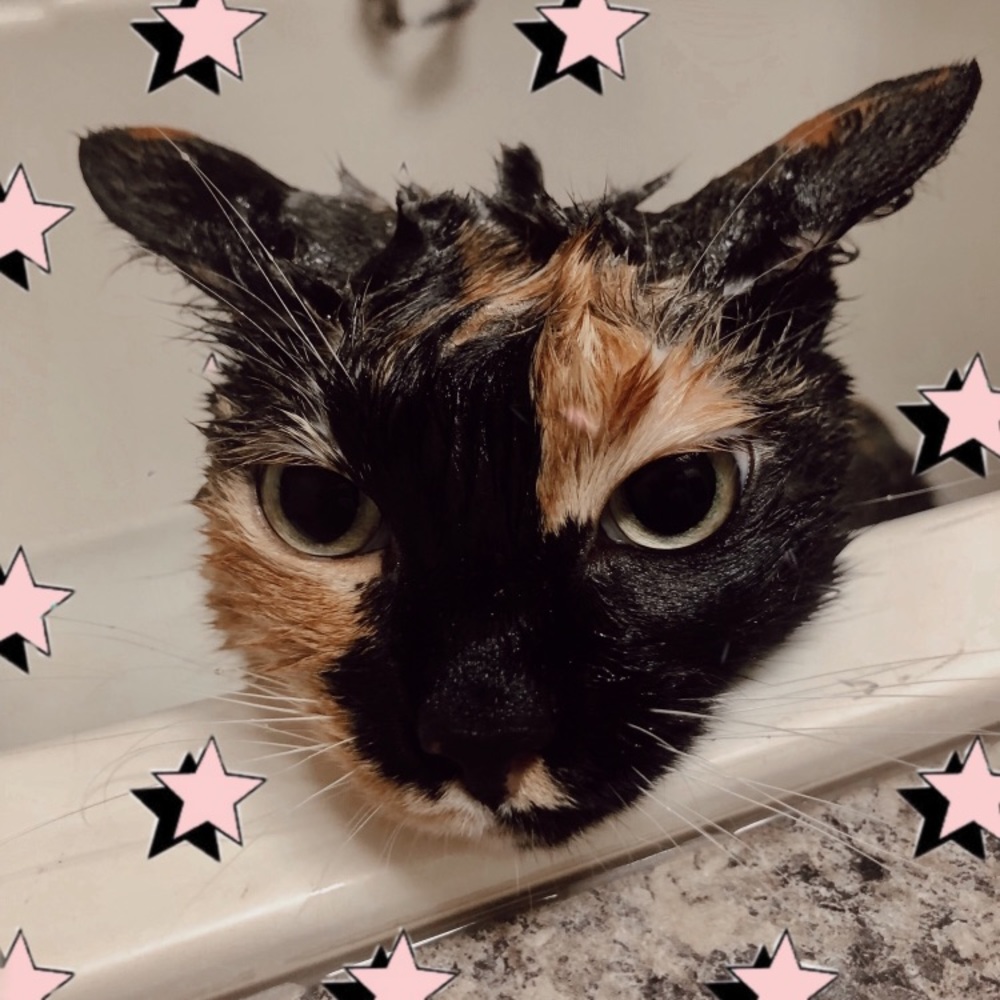 Meet your Posher, Emery